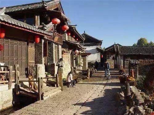 掘地挖宝